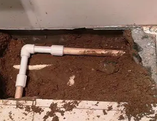 灵寿测漏水哪家好