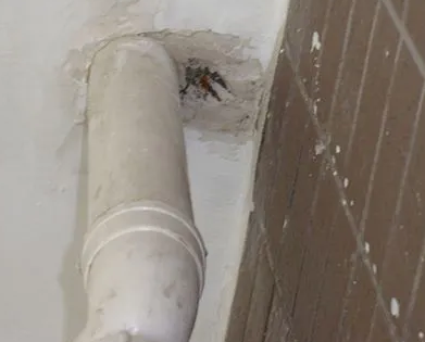 灵寿漏水检测哪家好